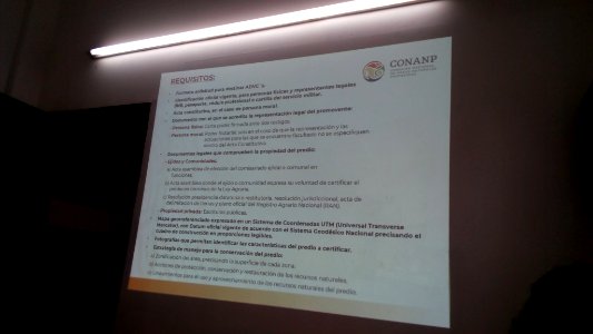 SEIARN_DIRECCIÓN DE SISTEMAS DE INFORMACIÓN AMBIENTAL_FERNANO VALDEZ_CALDERÓN_IMG_20190626_104159