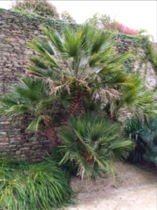 IMG_20190826_140636