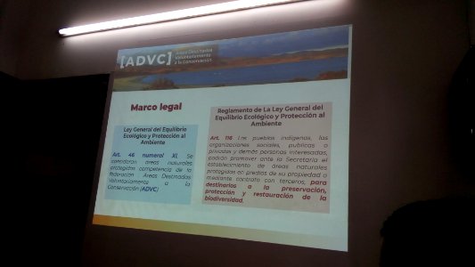 SEIARN_DIRECCIÓN DE SISTEMAS DE INFORMACIÓN AMBIENTAL_FERNANO VALDEZ_CALDERÓN_IMG_20190626_102610