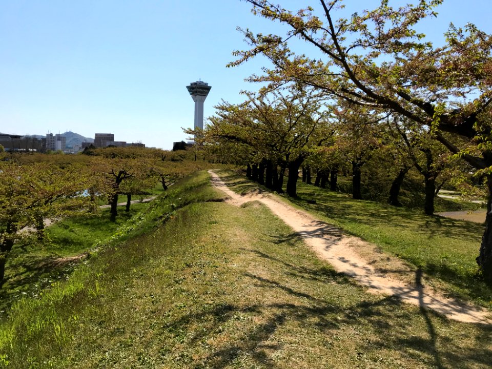 Goryokaku Star Fort