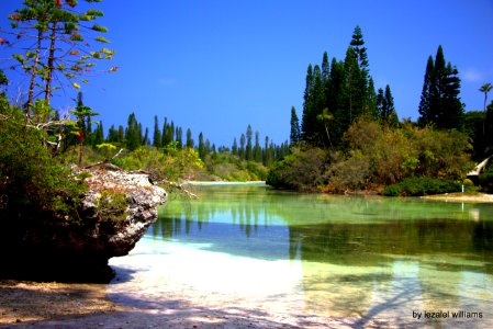 Paradise Spirit IMG_2736-002