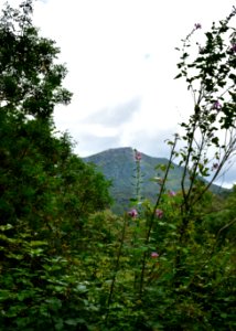 Sendero Río Majaceite. Benamahoma (Cádiz).