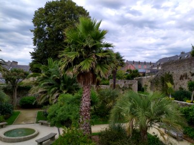 IMG_20190826_135640