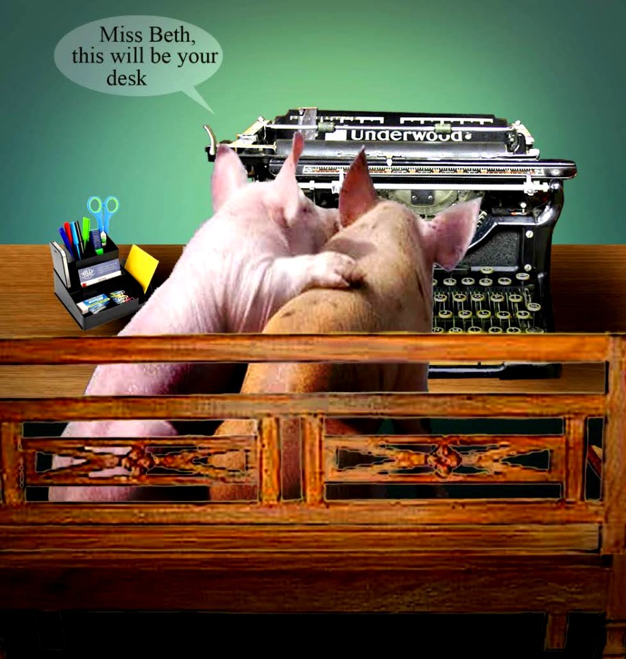 New secretary