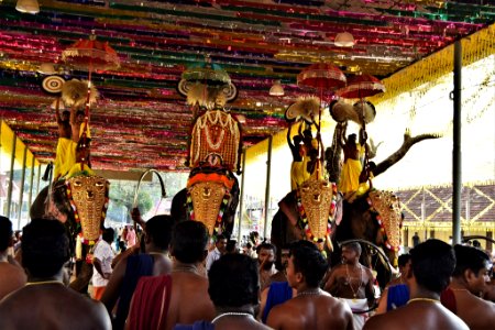 Kerala Holi Elephants Festival photo