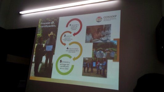 SEIARN_DIRECCIÓN DE SISTEMAS DE INFORMACIÓN AMBIENTAL_FERNANO VALDEZ_CALDERÓN_IMG_20190626_104003