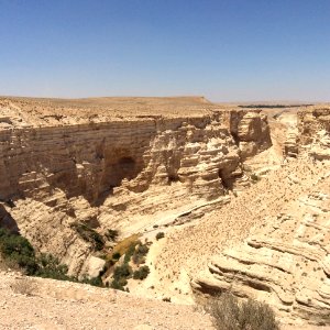 Negev-Envedat
