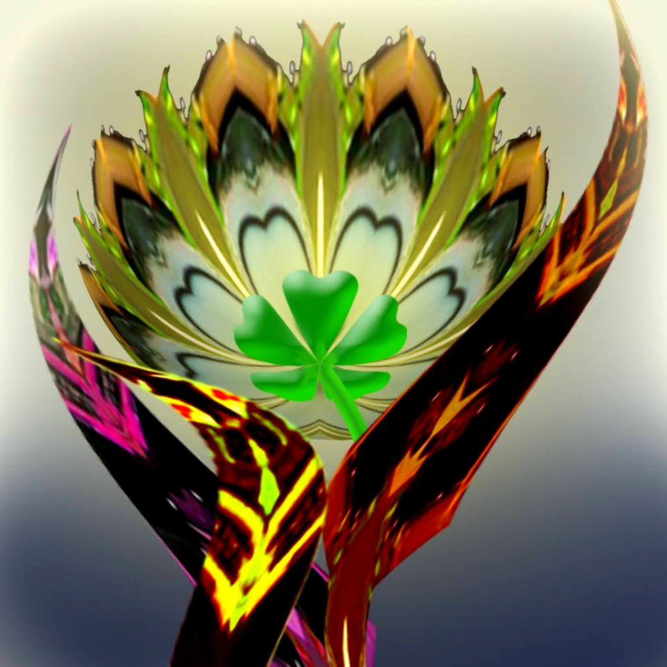 Peacock tail flower