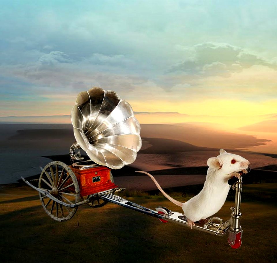 A caminho da festa