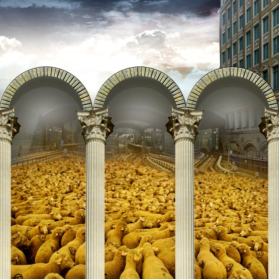 Flock