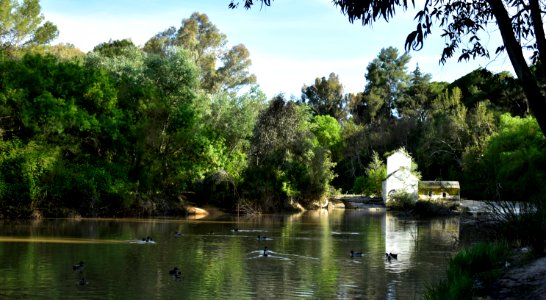 Río Guadaíra. Alcalá de Guadaíra (Sevilla).