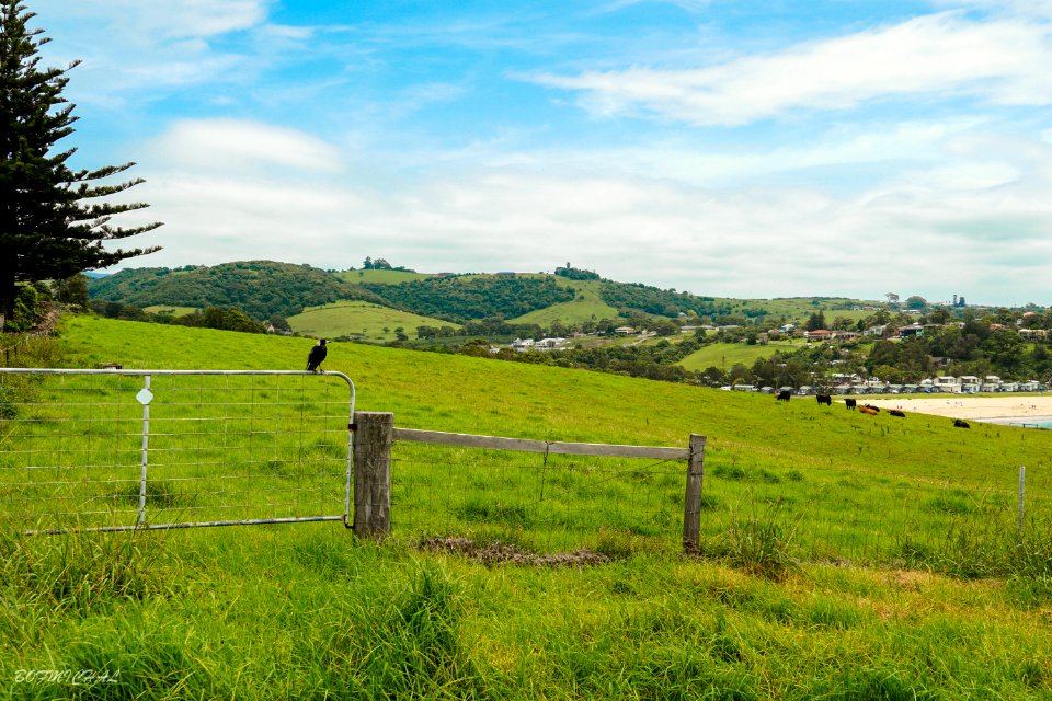 Gerringong to Kiama Coastal Walk