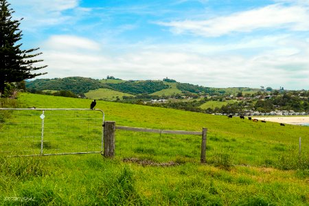 Gerringong to Kiama Coastal Walk