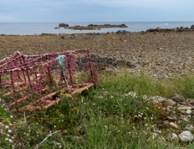 Bord de mer