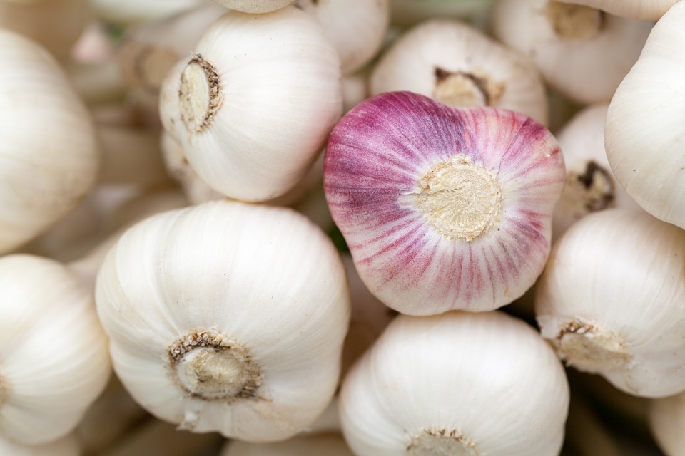 Aromatic background condiment