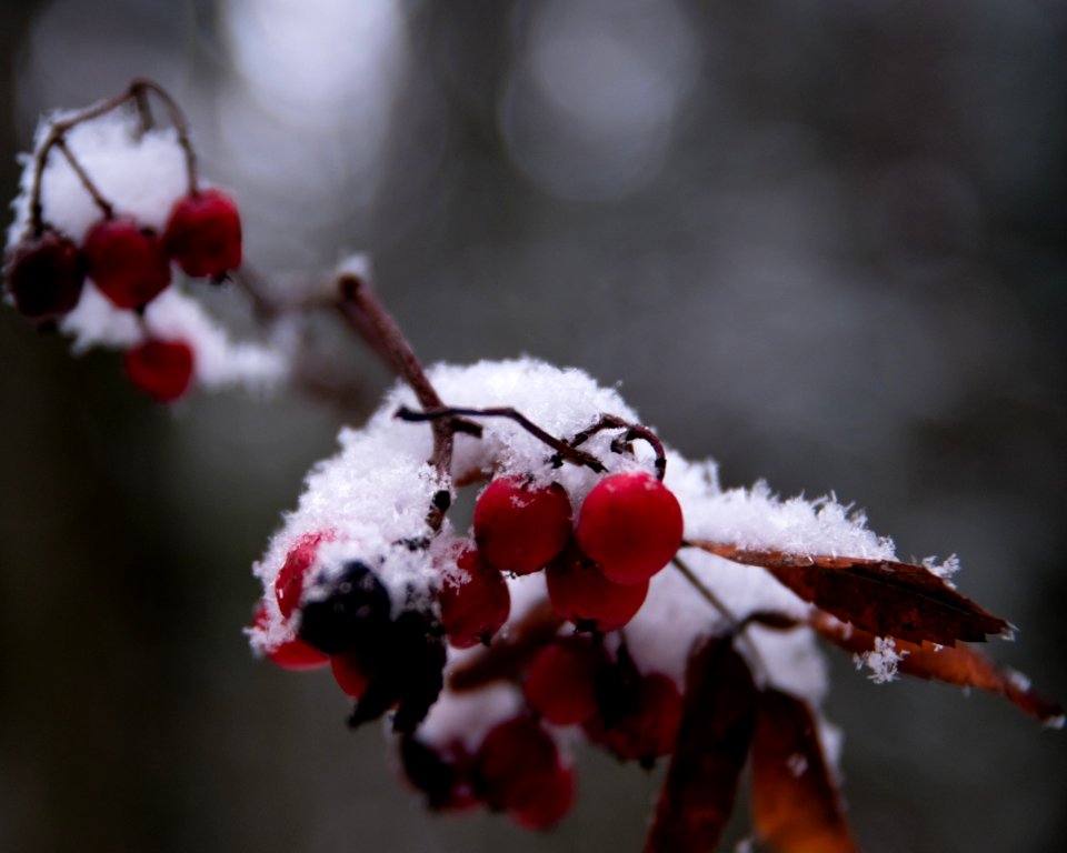 First proper snow of winter 19-20