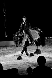 dressage horses in the circus