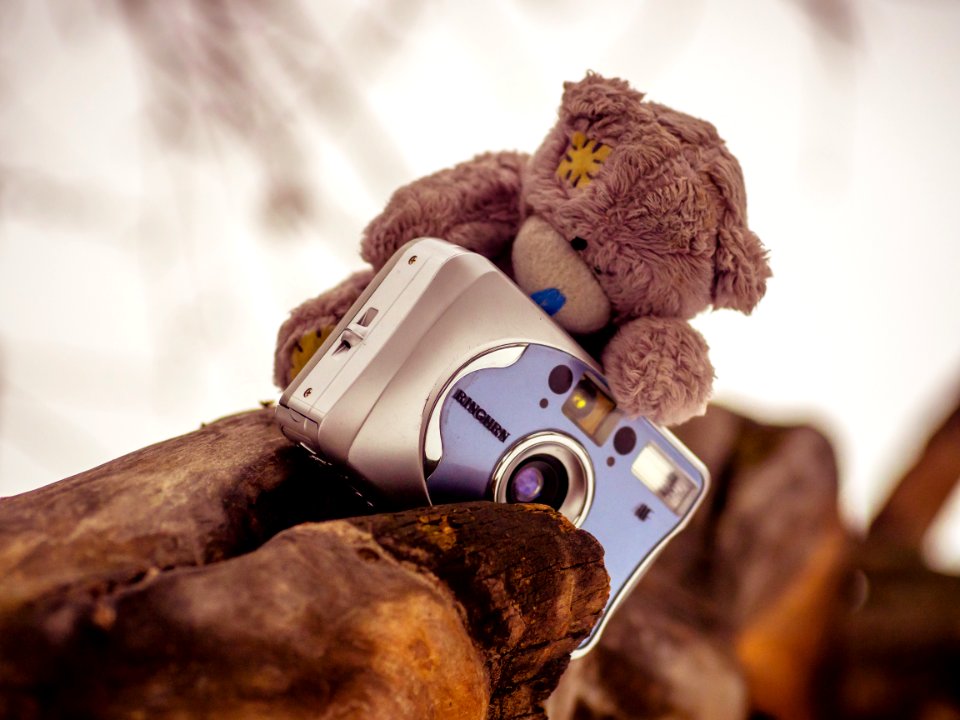 Teddy and Ringhrn M-307 (story 5)