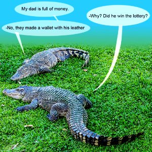Dialogue