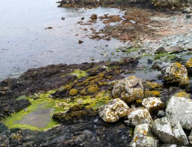 Bord de mer