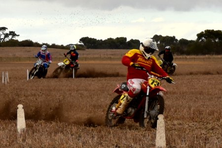 DSC 0118