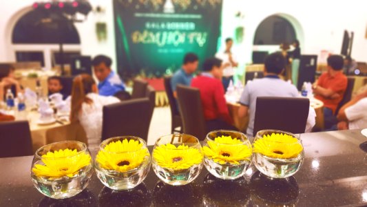 Gala Dinner 2