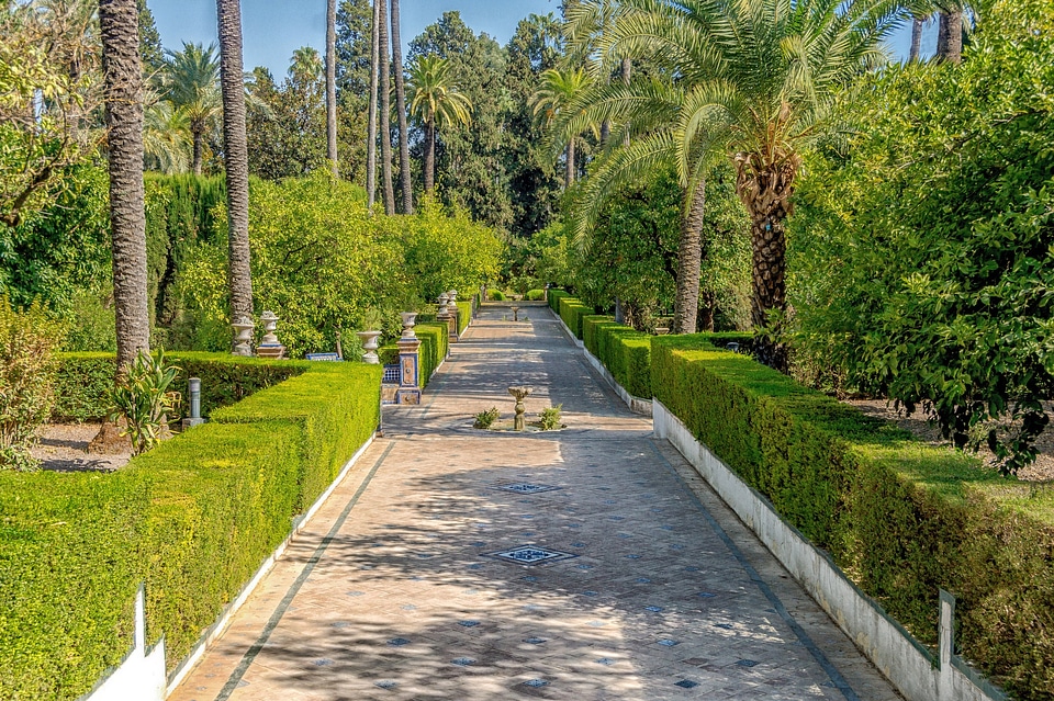 Garden walkway hedge