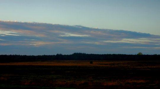 Zuid Ginkel. Ede Netherlands.