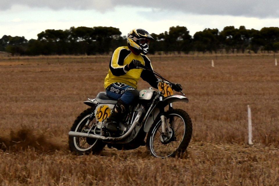 DSC 0097