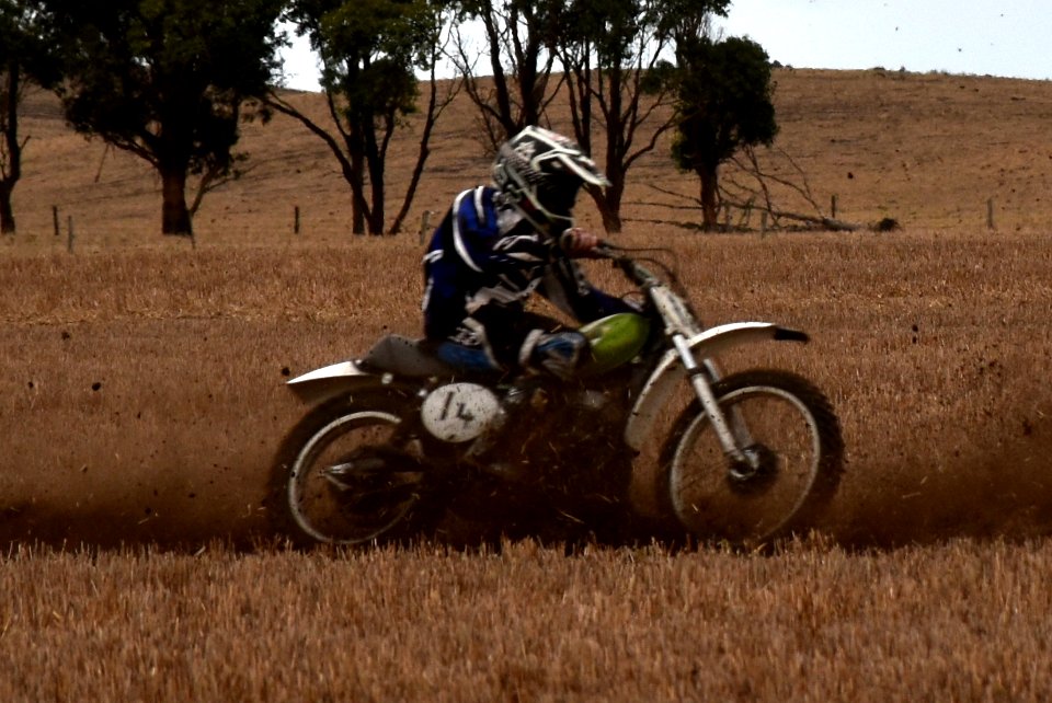 DSC 0149