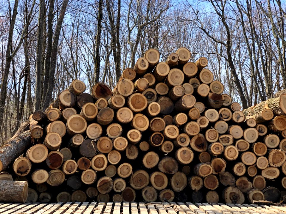 20190403-FS-Monongahela-KMB-632