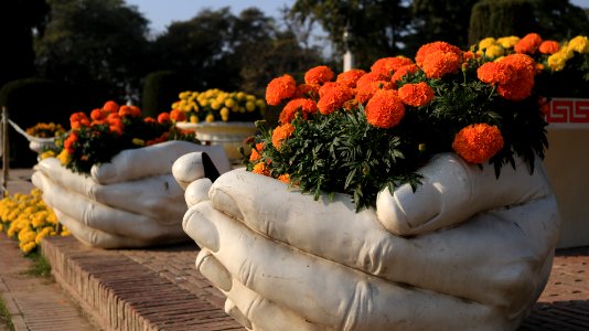 Hand flower pots photo