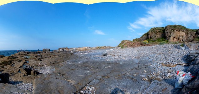 Hopes Nose 26 June 2019-12