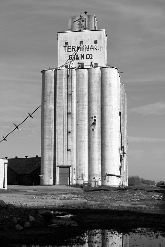 Grain elevator grain elevator