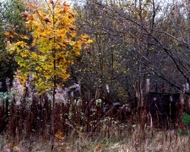 Abandoned mining equipment photo