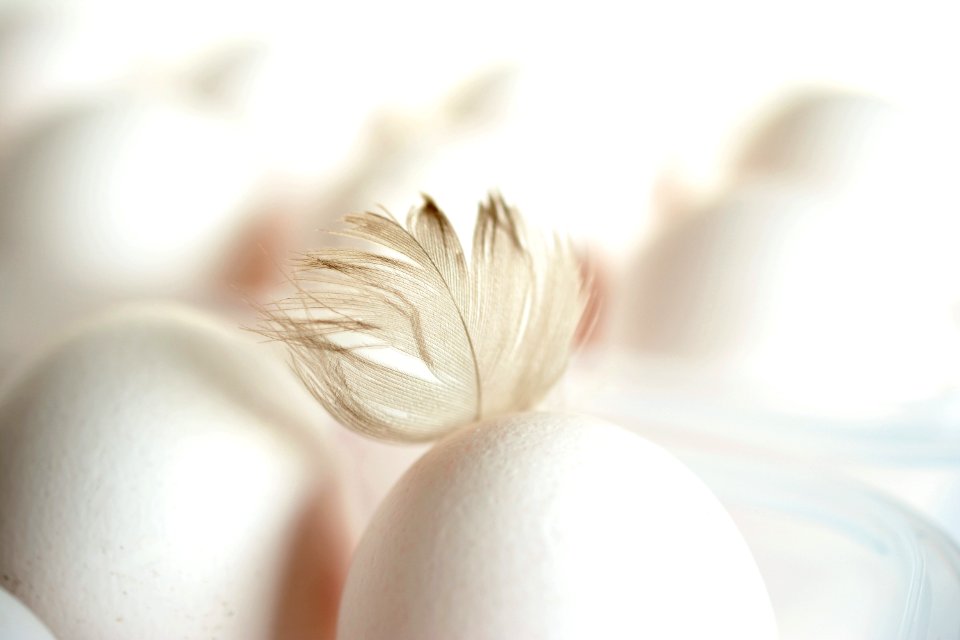 Obscyria.HappyEaster6