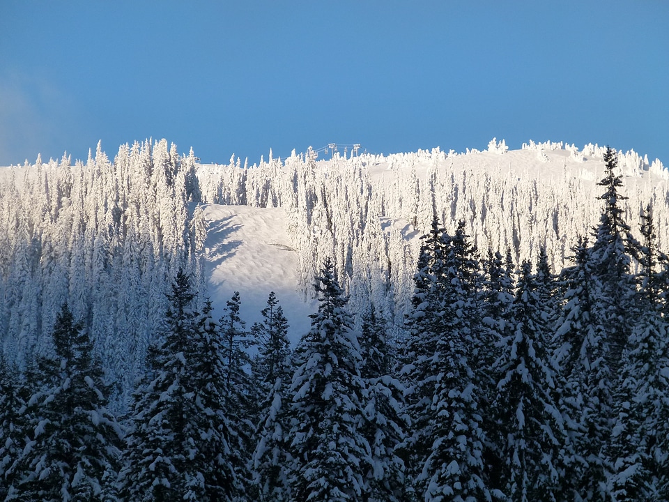 Winter skiing outdoor