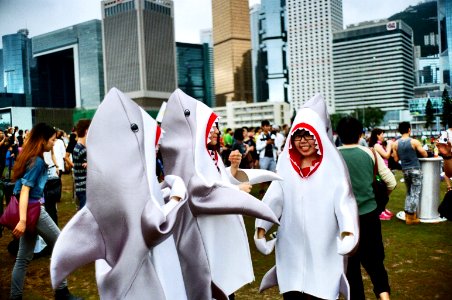 shark girls