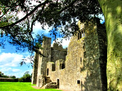 BECTIVE ABBEY..... photo