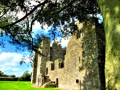 BECTIVE ABBEY.....