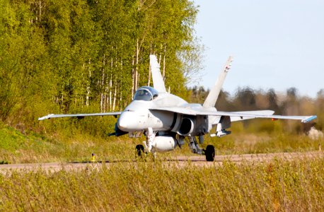 Finnish air force F/A-18C photo