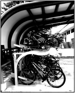 bicycle rack photo