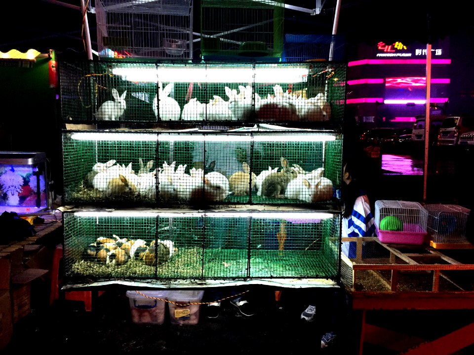 In Dongguan