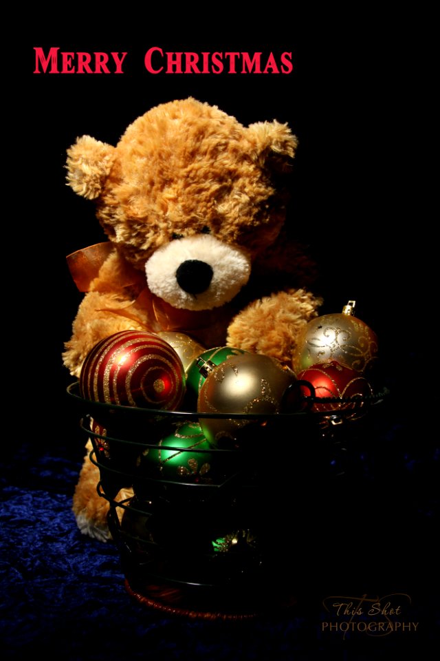 Bear