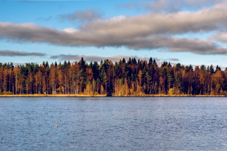 Fall colors at Iso Työläjärvi photo