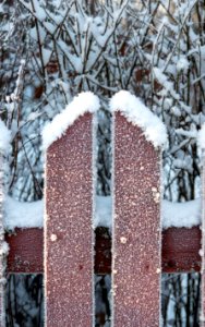 Frozen fence photo