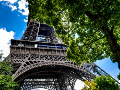 Canopée de Tour Eiffel photo