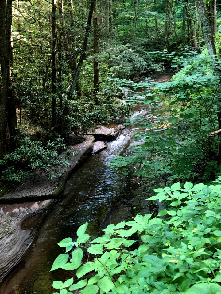20180712-FS-Monongahela-KMB-232
