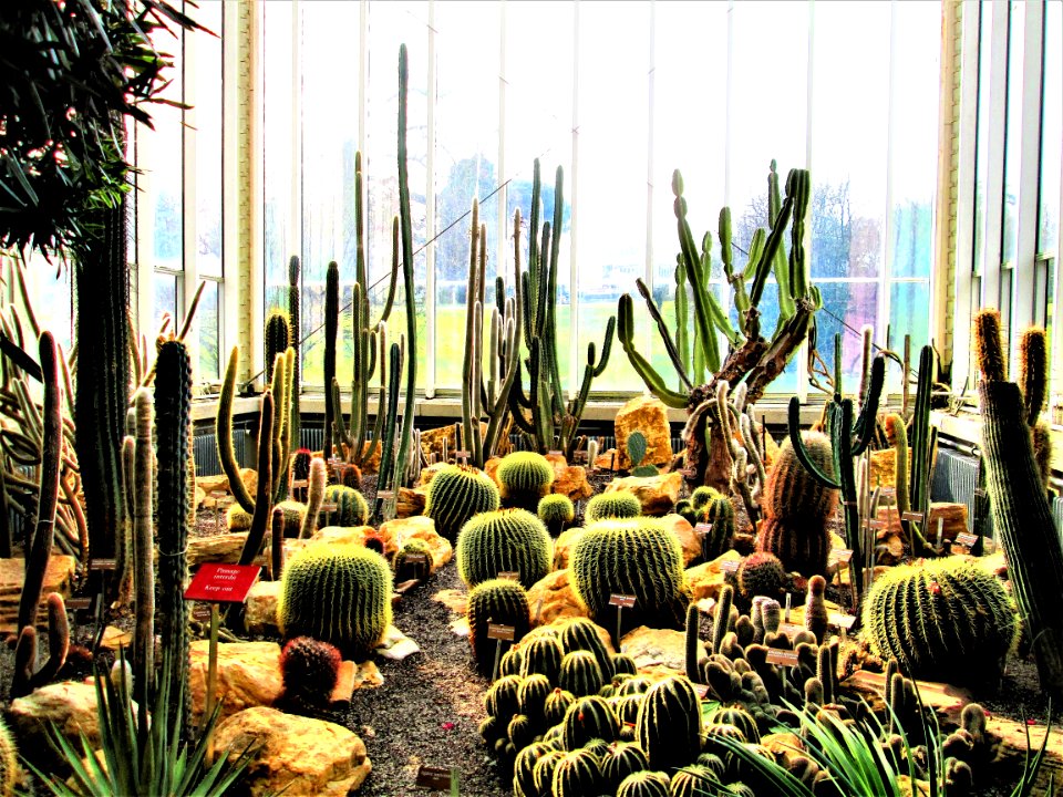 LYON BOTANIC GARDENS-FRANCE.....