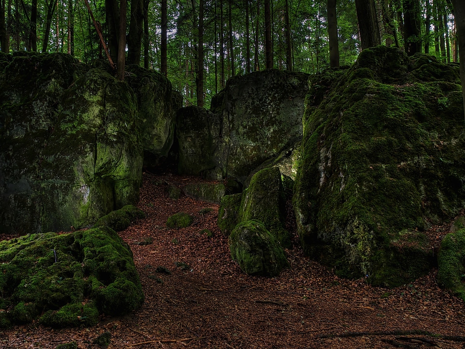 Bemoost watercourse nature